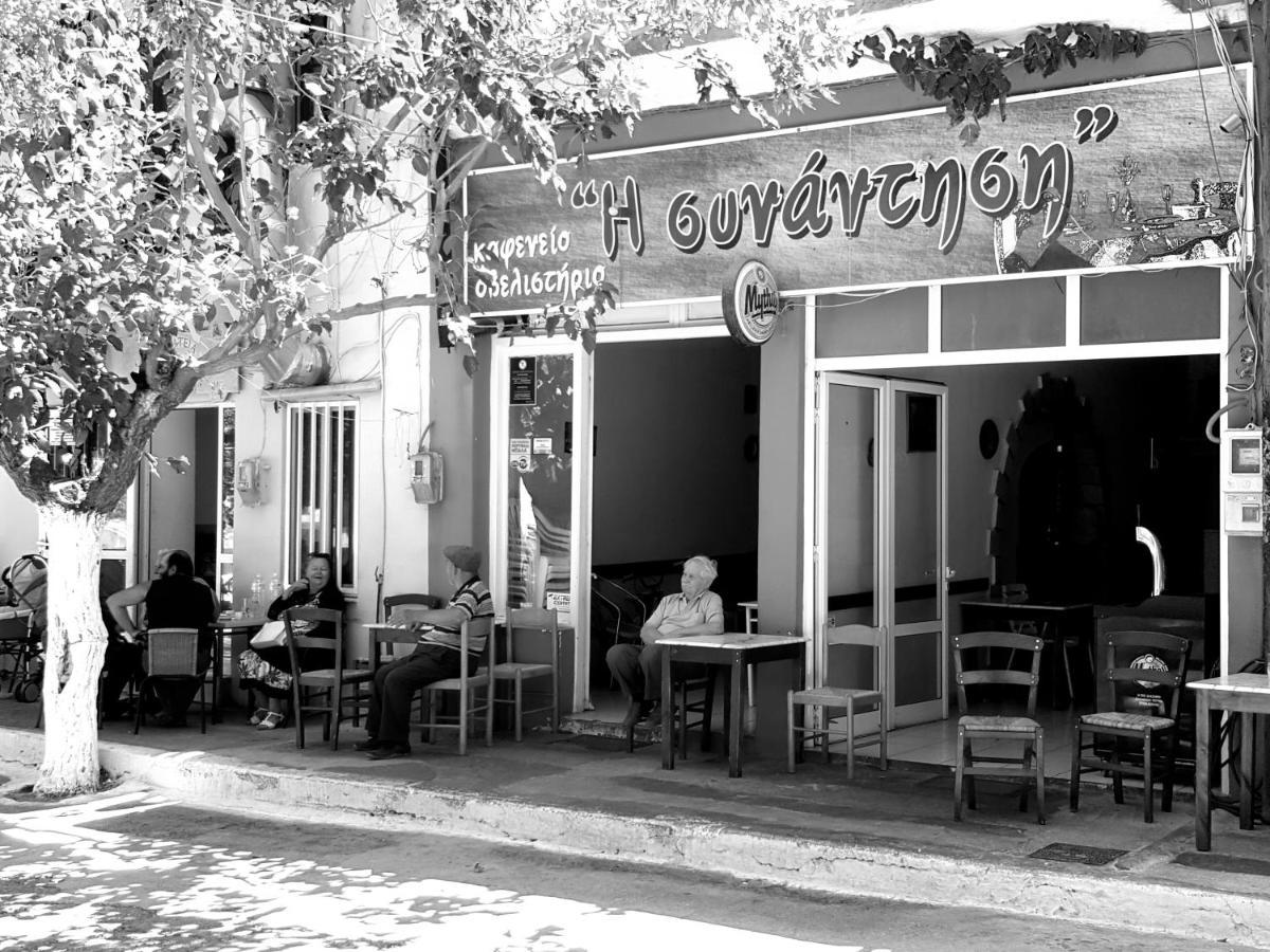 Villa Daniela & Apartments Koutsounari Exterior photo